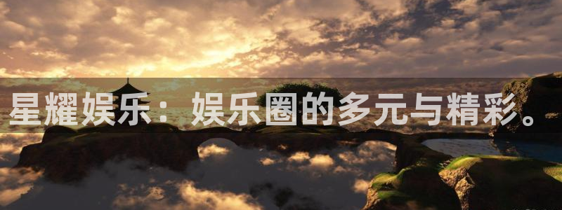 上海彩客网汽车电子有限公司