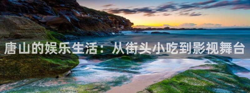 彩客网2平台