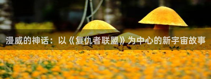 彩客网集团总部