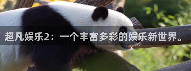 彩客网k：超凡娱乐2：一个丰富多彩的娱乐新世界。