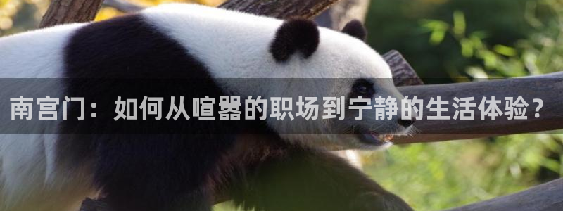 彩客网体育凯捷平台代理：南宫门：如何从喧嚣的职场到宁静的生活体验？