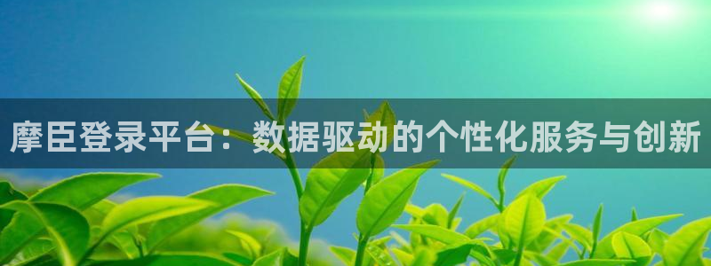 成都彩客网电子有限公司：摩臣登录平台：数据驱动的个性化服务与创新