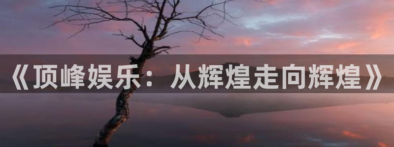 彩客网主管：《顶峰娱乐：从辉煌走向辉煌》