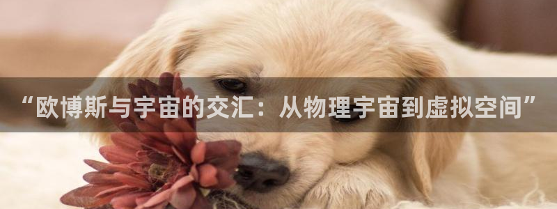 彩客网4开户：“欧博斯与宇宙的交汇：从物理宇宙到虚拟空间”