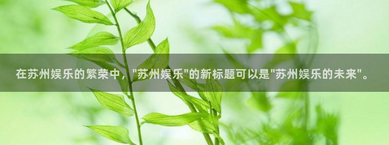 彩客网平台开户：在苏州娱乐的繁荣中，\
