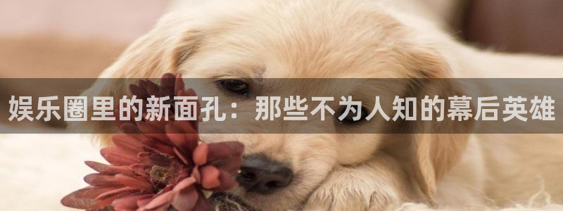 彩客网体育和杏耀是哪个公司的：娱乐圈里的新面孔：那些不为人知的幕后英雄