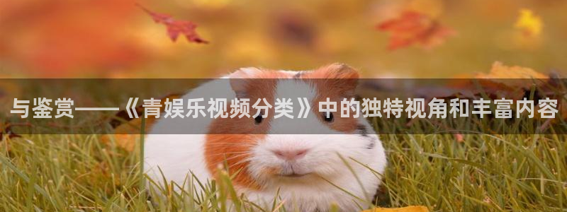 德国彩客网集团：与鉴赏——《青娱乐视频分类》中的独特视角和丰富内容