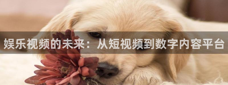 彩客网代理注册官网入口：娱乐视频的未来：从短视频到数字内容平台