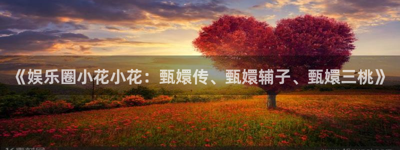 彩客网2注册：《娱乐圈小花小花：甄嬛传、甄嬛辅子、甄嬛三桃》