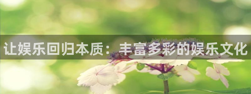 成都彩客网电子有限公司：让娱乐回归本质：丰富多彩的娱乐文化