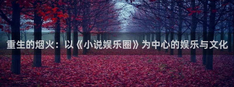 彩客网平台注册：重生的烟火：以《小说娱乐圈》为中心的娱乐与文化