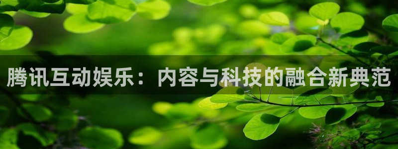 德国彩客网集团：腾讯互动娱乐：内容与科技的融合新典范