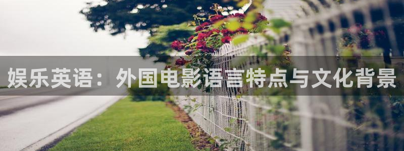 彩客网游戏有哪些好玩的：娱乐英语：外国电影语言特点与文化背景