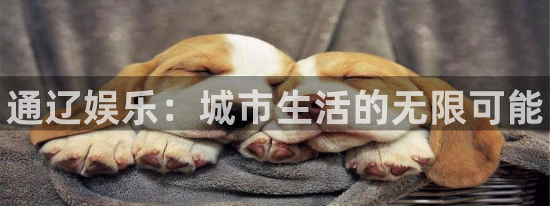 彩客网体育凯捷登陆：通辽娱乐：城市生活的无限可能