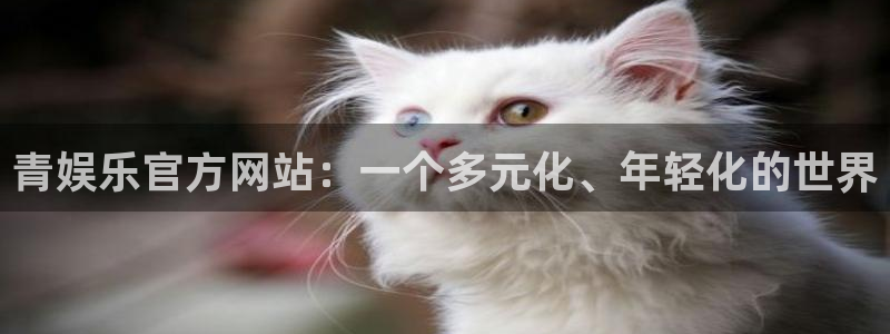 彩客网代理注册官网入口：青娱乐官方网站：一个多元化、年轻化的世界