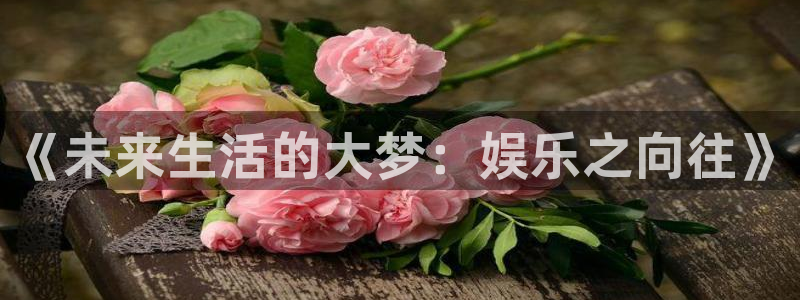 彩客网2官网：《未来生活的大梦：娱乐之向往》