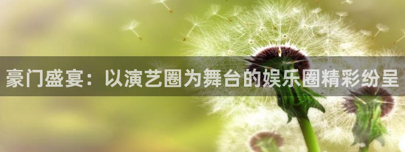 彩客网体育代理：豪门盛宴：以演艺圈为舞台的娱乐圈精彩纷呈