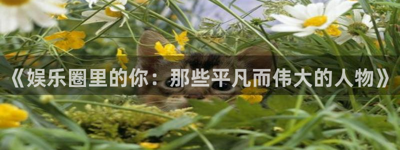 彩客网登录界面入口：《娱乐圈里的你：那些平凡而伟大的人物》