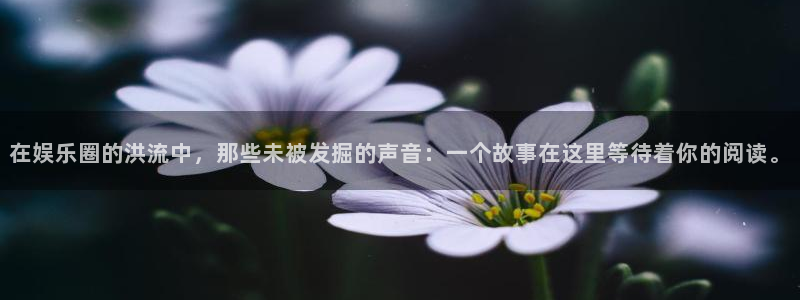 彩客网3官网：在娱乐圈的洪流中，那些未被发掘的声音：一个故事在这里等待着你的阅读