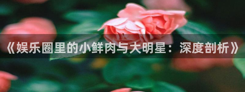彩客网体育注册：《娱乐圈里的小鲜肉与大明星：深度剖析》